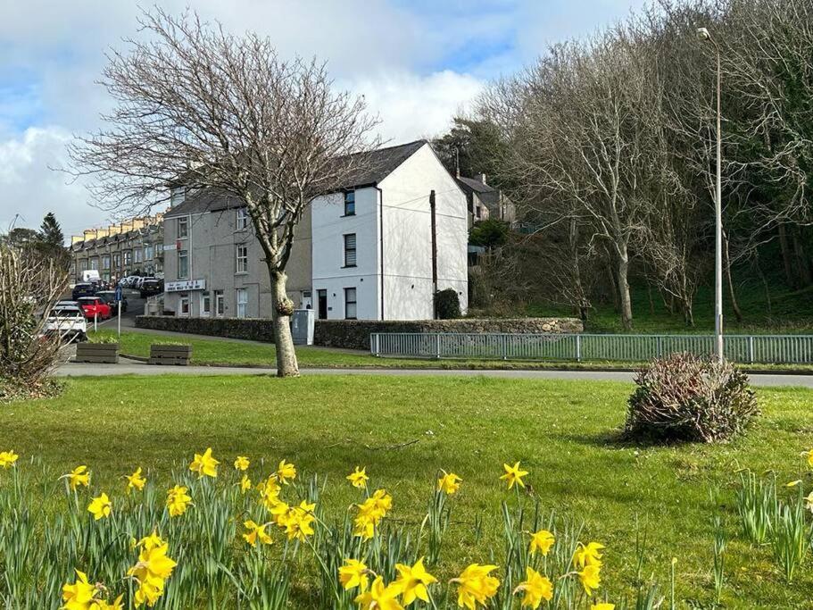 Caernarfon Modern Townhouse Snowdonia Villa Ngoại thất bức ảnh
